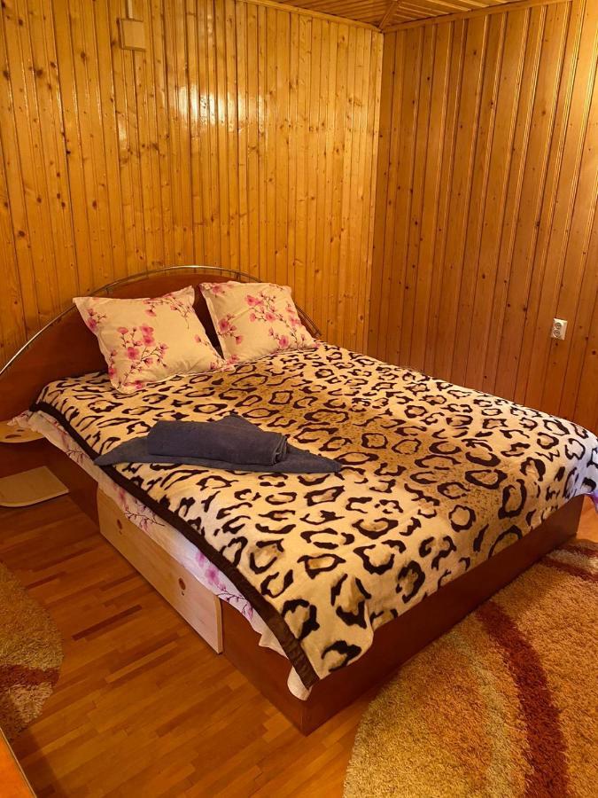 Casa Alesi Villa Dragoslavele Dış mekan fotoğraf