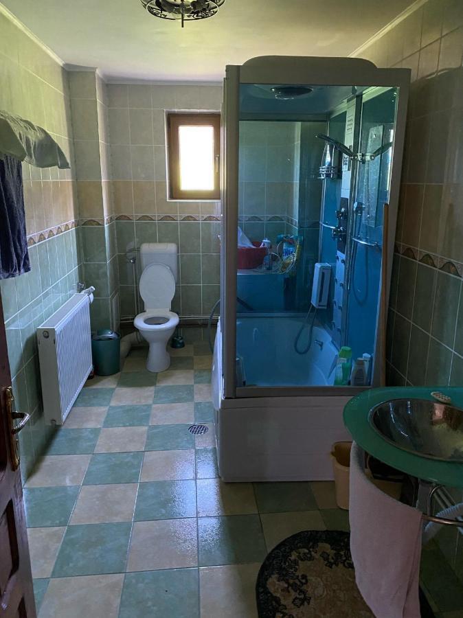 Casa Alesi Villa Dragoslavele Dış mekan fotoğraf