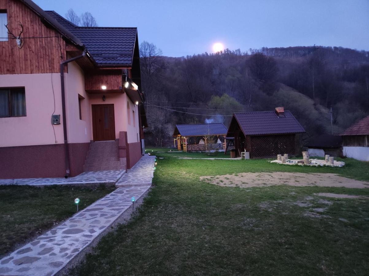 Casa Alesi Villa Dragoslavele Dış mekan fotoğraf
