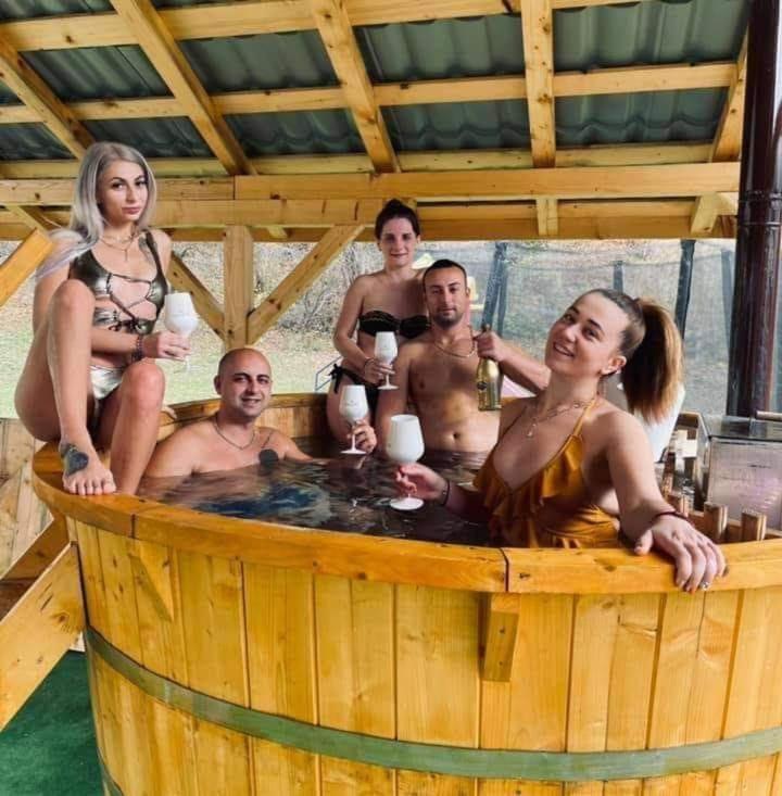 Casa Alesi Villa Dragoslavele Dış mekan fotoğraf