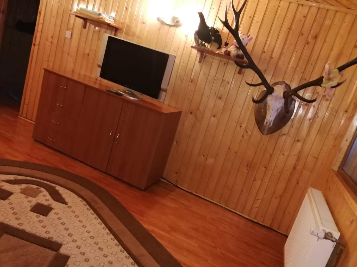 Casa Alesi Villa Dragoslavele Dış mekan fotoğraf