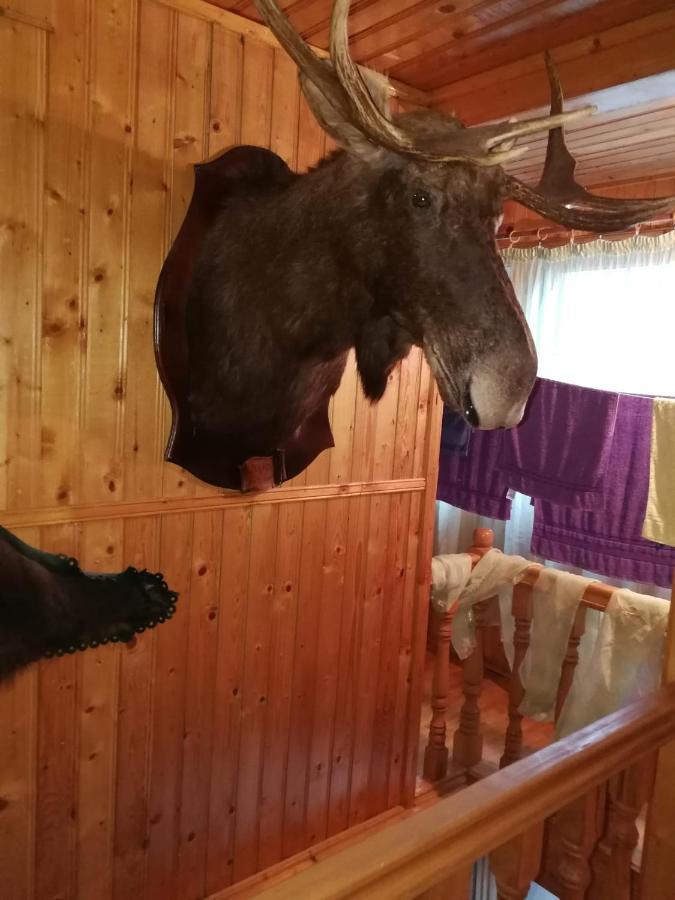 Casa Alesi Villa Dragoslavele Dış mekan fotoğraf