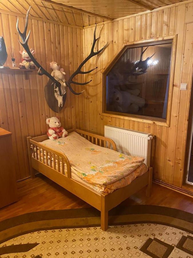 Casa Alesi Villa Dragoslavele Dış mekan fotoğraf